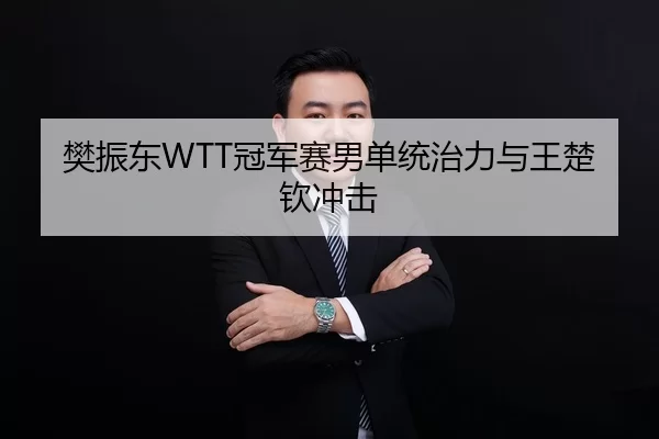 樊振东WTT冠军赛男单统治力与王楚钦冲击