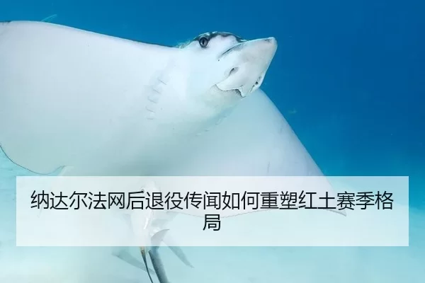 纳达尔法网后退役传闻如何重塑红土赛季格局