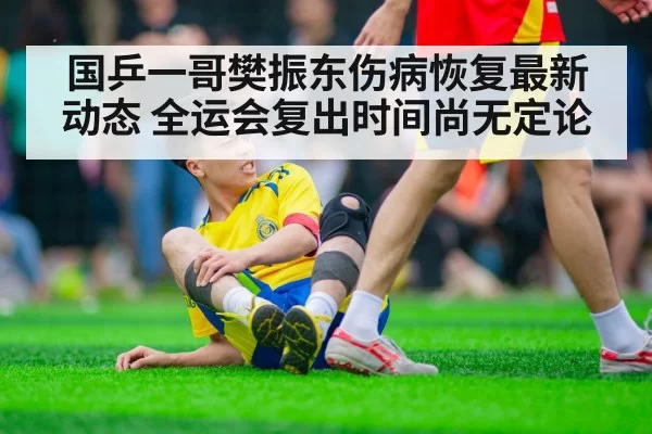 国乒一哥樊振东伤病恢复最新动态 全运会复出时间尚无定论