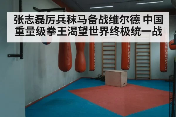 张志磊厉兵秣马备战维尔德 中国重量级拳王渴望世界终极统一战